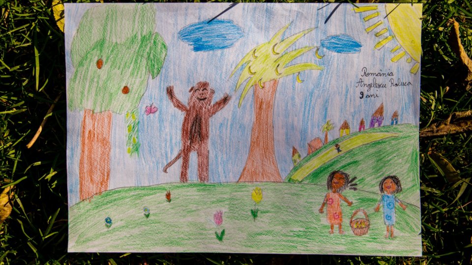 Poveste colectivă, scrisă de copiii din Sibiu, despre un virus și un cimpanzeu, publicată online de BIS Teatru