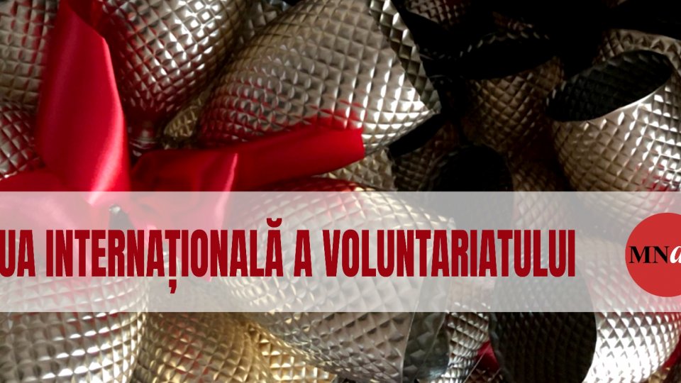 Ziua internațională a voluntariatului la MNAR