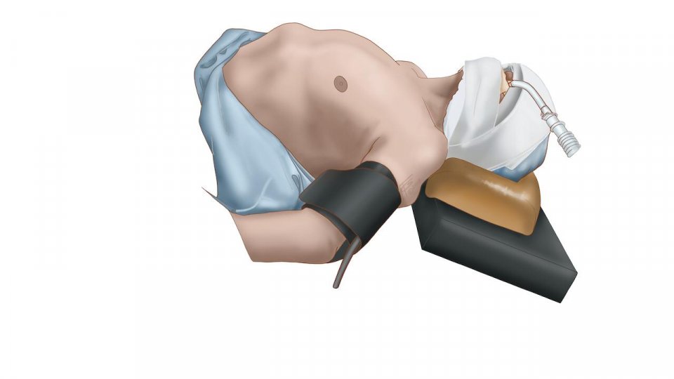 Dimensiunea științifică a artei:  Georgiana Fotache - Ep 5. Ilustrația medicală între artă și știință -  Realitatea virtuală și construcțiile 3D asistate de calculator sunt tehnicile moderne pentru ilustrația medicală 