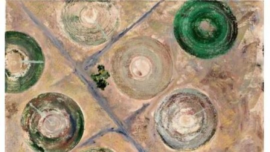 Dimensiunea științifică a artei  Lucian Muntean -  Hărți imaginare