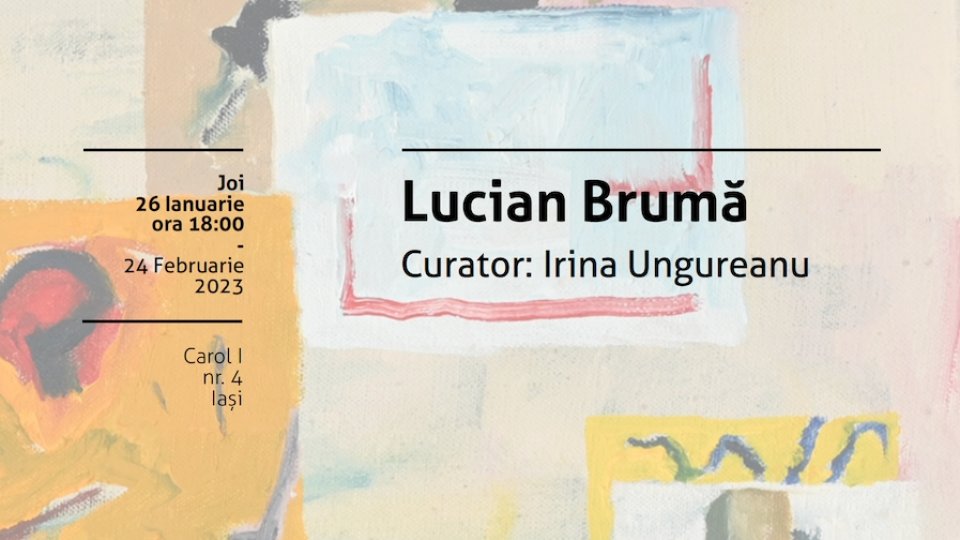 Lucian Brumă – Spune-mi ce vezi: metacolecții