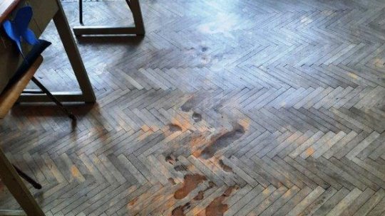 Copiii din Daneș pot numi acasă școala renovată de un ONG cultural