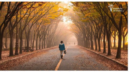 Știința 360 - 14 noiembrie 2023 - Raportul de gardă: 7.000 de pași reduc semnificativ riscul de mortalitate cardiovasculară | PODCAST