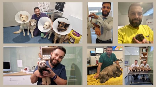 Născut în România - Invitat: George Tudor, medic veterinar stabilit în Irlanda | PODCAST