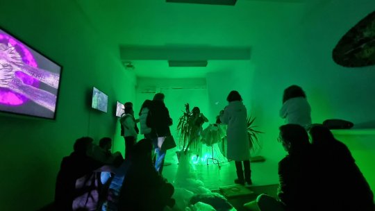 Oraşul vorbeşte - Alina Tofan: „Consider criza de mediu o criză a relaţiei cu propriul sine” | PODCAST