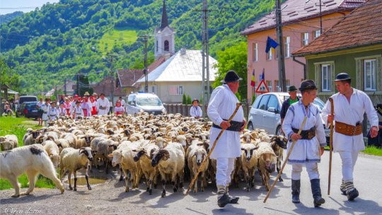 Înscrierea Transhumanței pe Lista reprezentativă a patrimoniului cultural imaterial al umanității