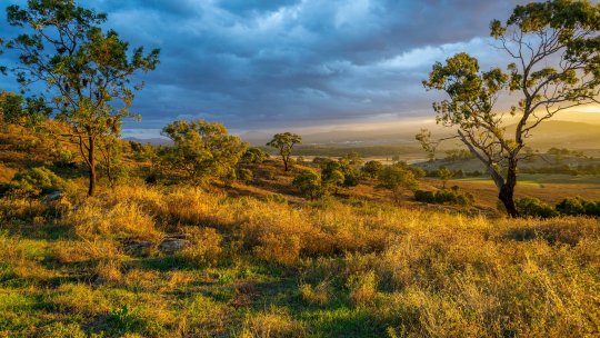 Unelte vechi de aproximativ 2.9 milioane de ani au fost găsite in Kenya