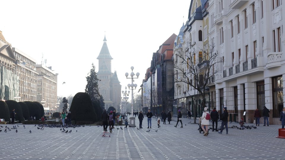 Scena și ecranul, la Timișoara