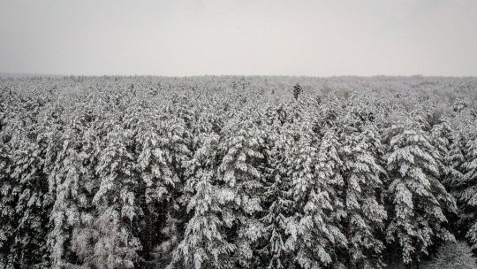 MARTOR Margareta Spînu-Cemîrtan, supraviețuitoare a gulagului din Siberia