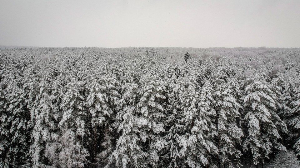 MARTOR Margareta Spînu-Cemîrtan, supraviețuitoare a gulagului din Siberia