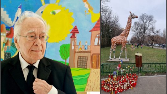 MIHAI ȘORA și CERUL STELELOR FIXE