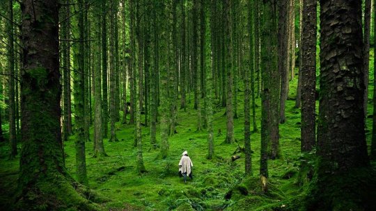 Exploratorii lumii de mâine: Uitat pe o planetă-pădure...