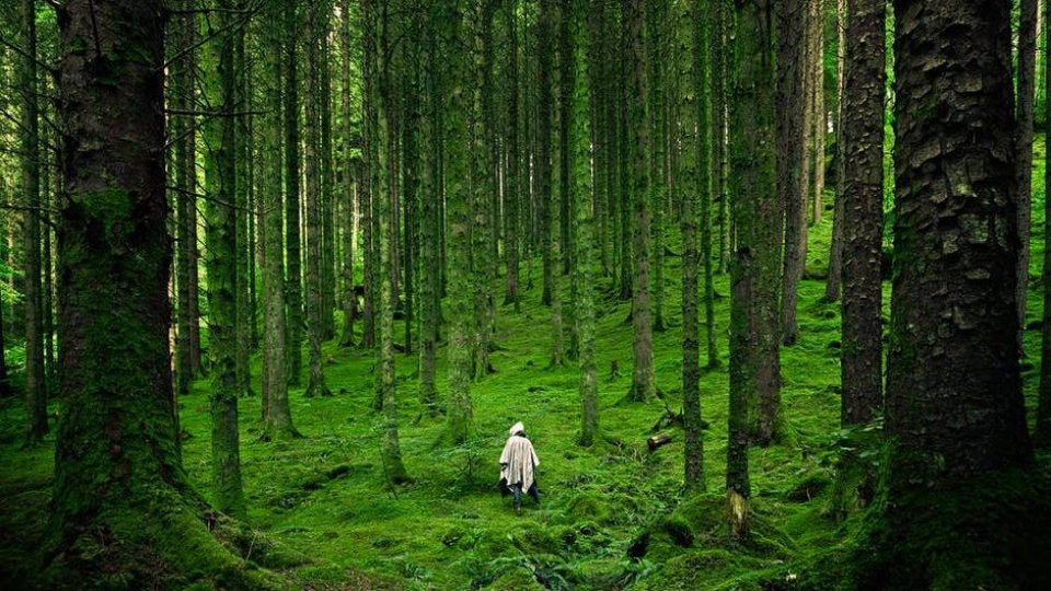 Exploratorii lumii de mâine: Uitat pe o planetă-pădure...