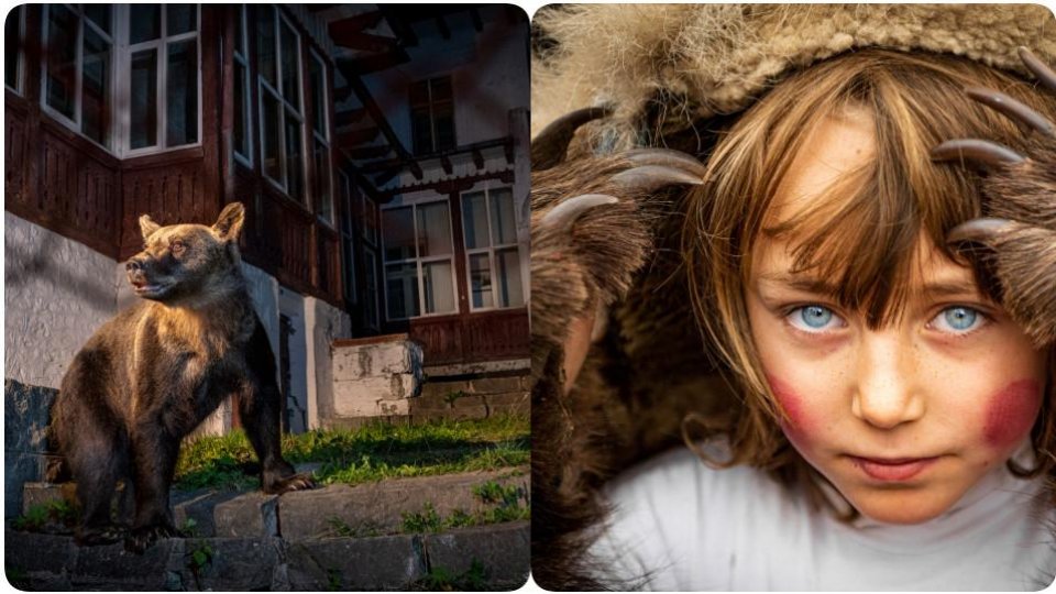 Ilustrată din Amsterdam - Un urs în curte