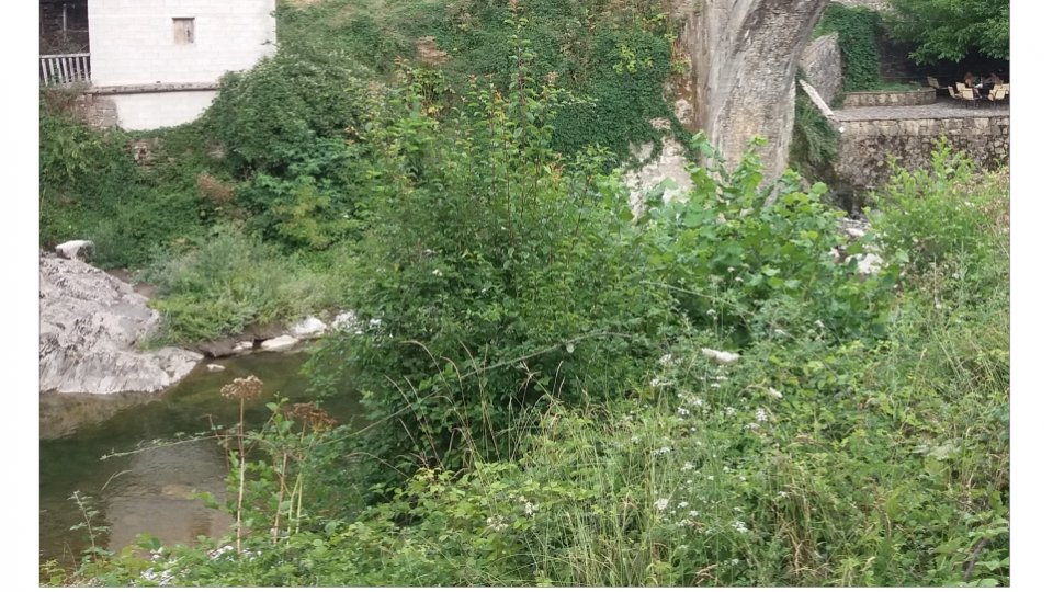 Conferința de Joi: „Oaspeți la românii din sudul Dunării. Călătorii de studiu în Balcani”