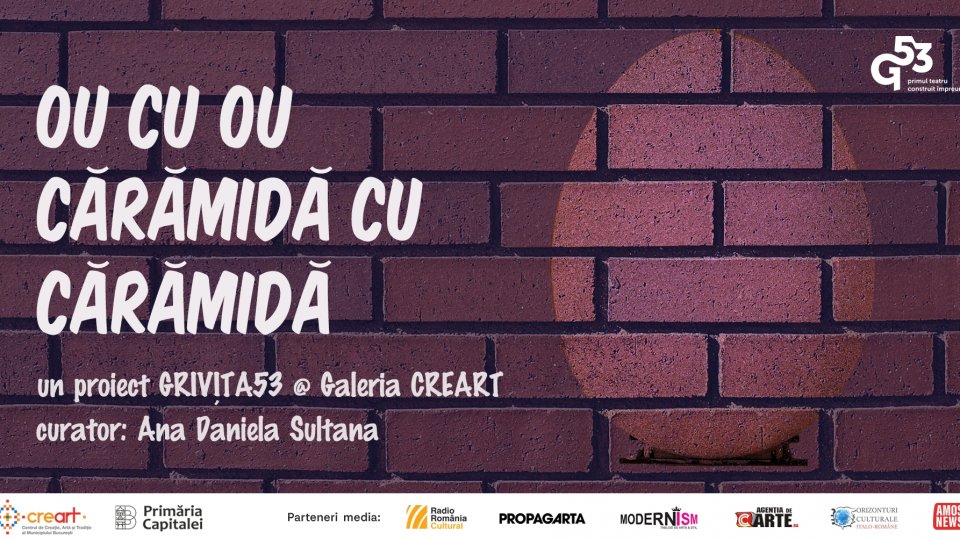 „Ou cu ou și cărămidă cu cărămidă”, construcția unui vis