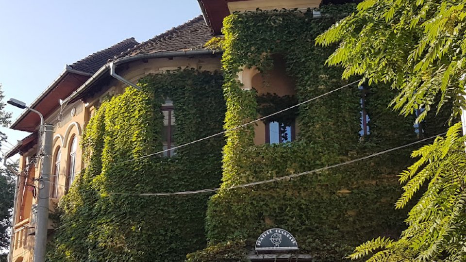 Rădăcini Urbane. Miracolul Dâmboviţei - Proiect cultural