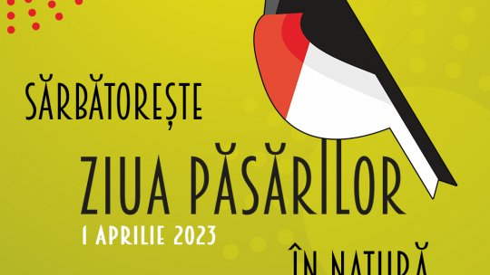 Sărbătorește Ziua Păsărilor în natură