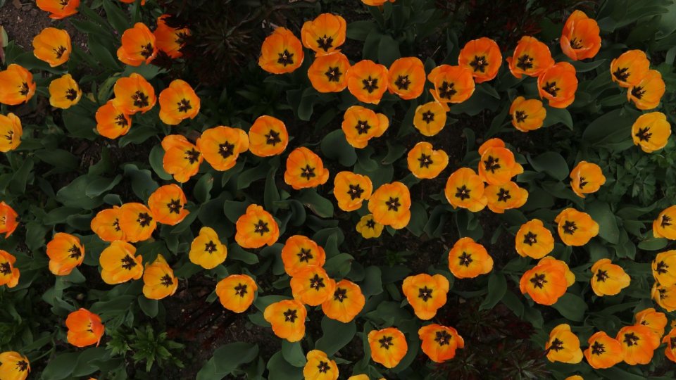 Muzeul Municipiului București vă invită la o nouă Conferință astăzi, 9 martie 2023, de la ora 18.30