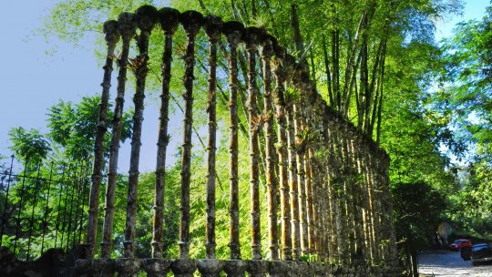 Călător de weekend: Las Pozas – grădina suprarealistă din jungla mexicană