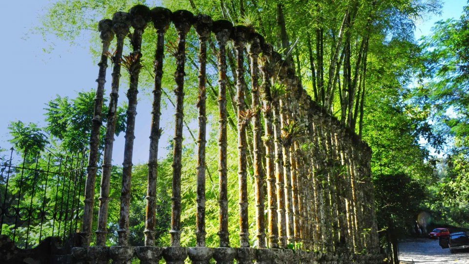 Călător de weekend: Las Pozas – grădina suprarealistă din jungla mexicană