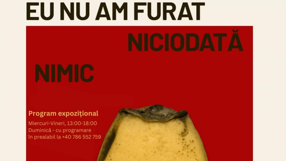 Spectacol de teatru imersiv „Eu nu am furat niciodată nimic“, la Muzeul Național al Țăranului Român
