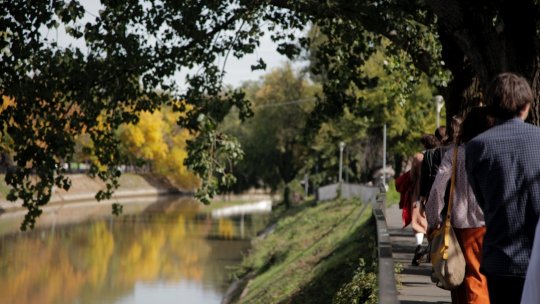 Narațiuni Sonore / Sonic Narratives 2023