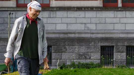 Ilustrată din Amsterdam: Richard Long vs. Constantin Brâncuși