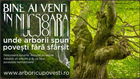 Știința 360 - 29 mai 2023 - 2544 de fagi seculari de la Nucșoara pot fi adoptați în cadrul  „Pădurii Poveștilor Nemuritoare”