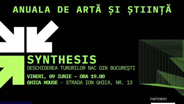 Expoziția SYNTHESIS - lansare tururi de artă și program NAC - vineri, 9 iunie, ora 19:00, la Ghica House