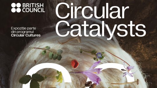 HEI – House of European Institutes, noul bastion al culturii europene din Timișoara, invită toți timișorenii la: Opening Days