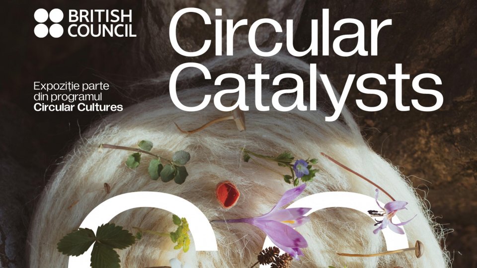 HEI – House of European Institutes, noul bastion al culturii europene din Timișoara, invită toți timișorenii la: Opening Days