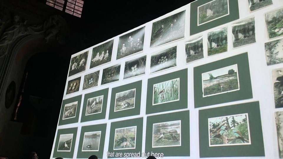 Dead Birds Flying High la Festivalul Internațional de Filme Documentare de Știință (https://afo.cz/en/about-festival/) de la Olomouc