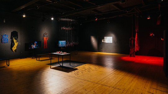 Tur ghidat al expoziției ”Lockout Sterotypes. Counter-cliché”