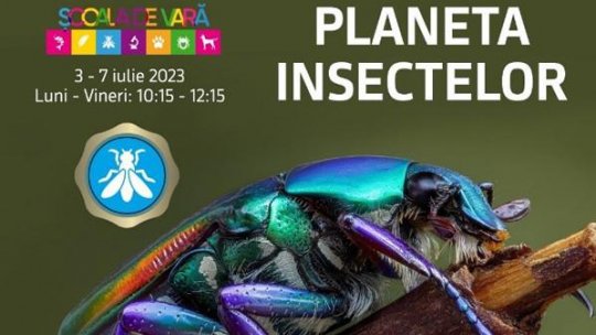 Planeta Insectelor: Școala de Vară la Antipa de Luni până Vineri, 3 – 7 iulie 2023, între orele 10:15 și 12:15