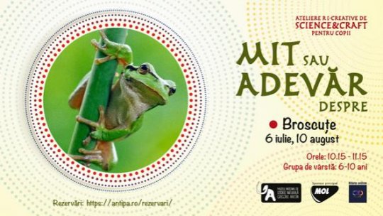 Mit sau adevăr despre broscuțe: Joi, 6 iulie 2023, între orele 10:15 – 11:15