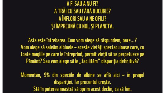 „To Be or Not To Bee” - Campania și petiția națională pentru salvarea albinelor