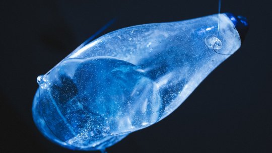 Post Digital Intersections la Timișoara. Programul Post-Digital Intersections va fi lansat de șase artiști europeni care crează la intersecția dintre artă, știință și tehnologie