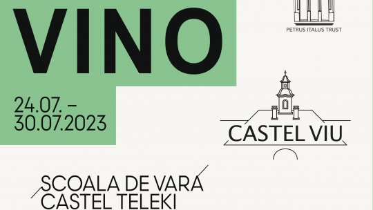 Castel Viu - Artă și Comunitate la Posmuș