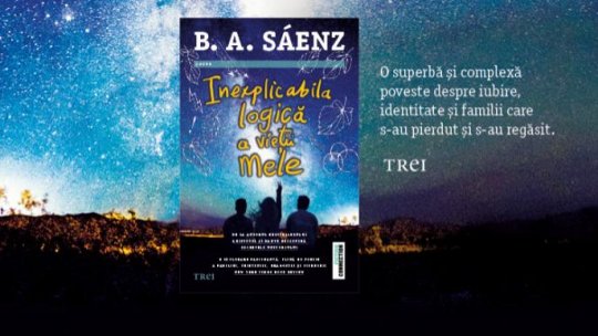 Inexplicabila logică a vieții mele: o explorare fascinantă a familiei, prieteniei, dragostei și pierderii