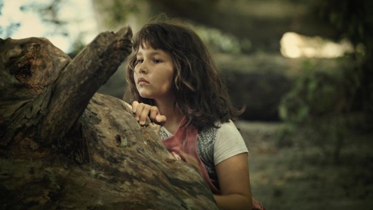 CULMEA, primul festival de film pe teme de mediu adresat copiilor și tinerilor, are loc la Brașov, între 6 și 10 septembrie