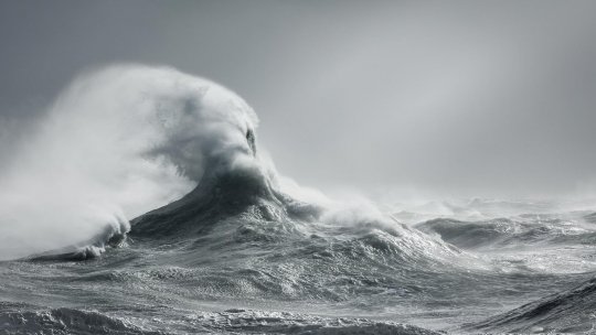 4 instalații imersive complexe la ediția cu numărul #4 a NOVA Festival