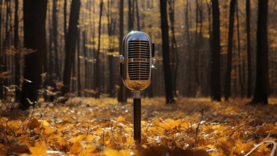 Bilet de îmbarcare spre... Geoagiu Băi - județul Hunedoara II