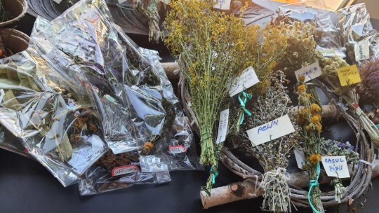 Dimensiunea științifică a artei - Ecologiile grijii și îngrijirii