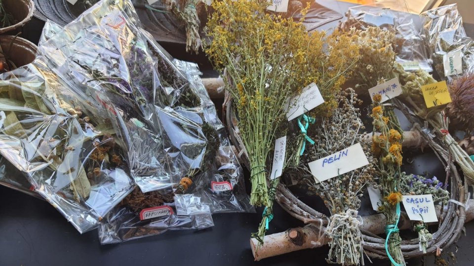 Dimensiunea științifică a artei - Ecologiile grijii și îngrijirii