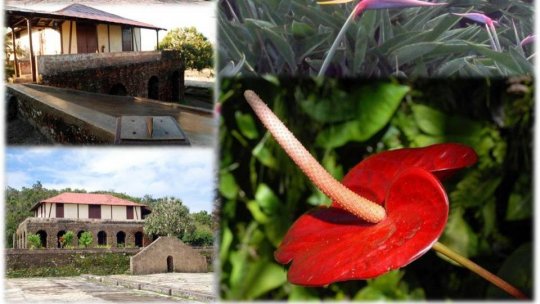 ILUSTRATE DIN CUBA - Plantaţia de cafea La Isabelica