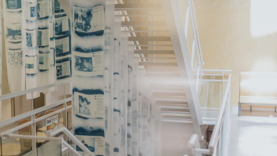 Rețeaua socială cu care poți interacționa în viața reală -  Share, Tag or Dye Again