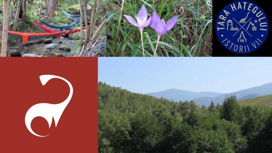 Cu...minte de weekend - 1 octombrie 2023