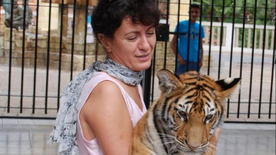 Născut în România: "Are sens să acordăm mai multă atenție modului în care existăm și funcționăm" spune Ileana Racoviceanu, expert în comunicare la Agenția Erasmus+ România - sâmbătă, 9 septembrie 2023