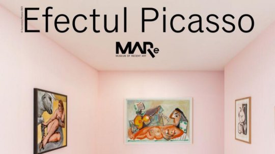 Ultimele 7 zile cu Efectul Picasso la MARe/Muzeul de Artă Recentă